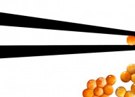 Trout caviar - long chopsticks