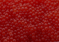 Trout caviar - red colour