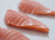 Trout sashimi 1
